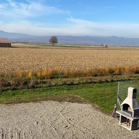 Gites Bretzel et Cigogne Munwiller Extérieur photo
