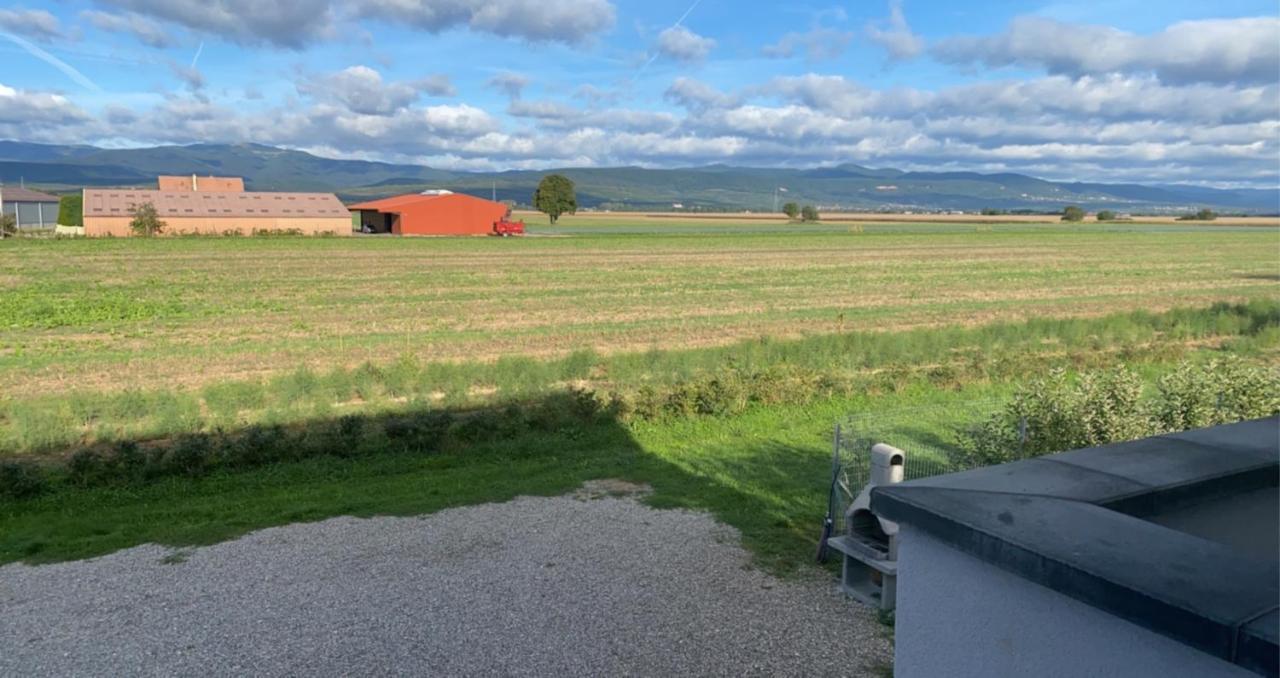 Bretzel Et Cigogne Casa vacanze Munwiller